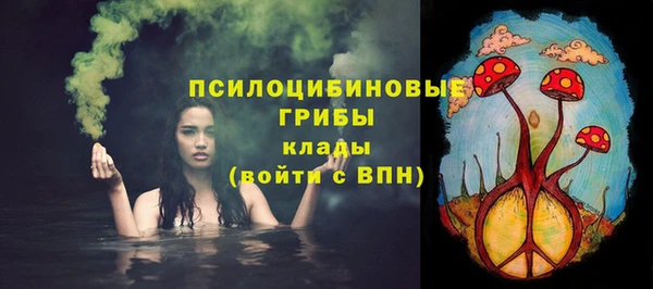mix Абаза