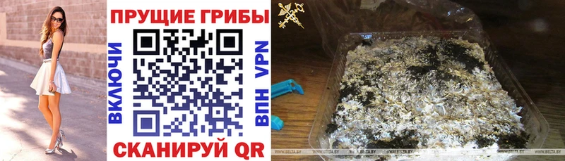 где купить наркотик Дальнереченск Галлюциногенные грибы Magic Shrooms