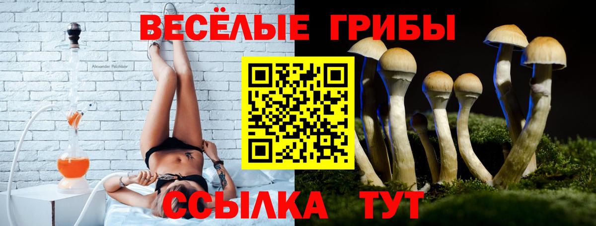 Галлюциногенные грибы прущие грибы  Галлюциногенные грибы Psilocybe  Вход с VPN  Дальнереченск 