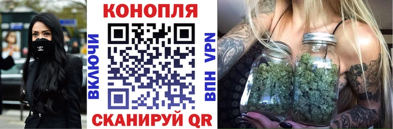 Бошки марихуана OG Kush  купить наркотики сайты  Дальнереченск 